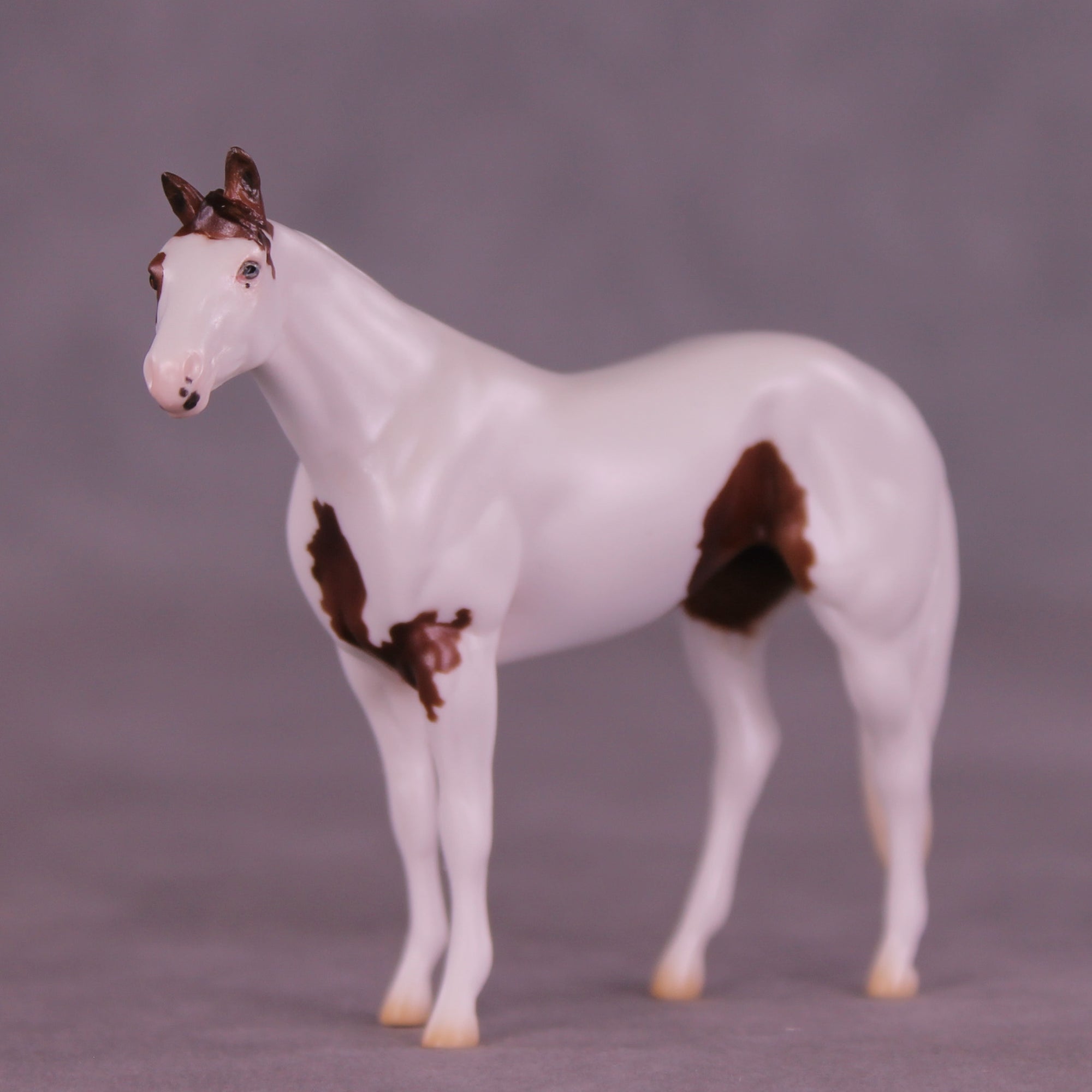 SAMPLE Troubador LE-8 FCM Chip Stock Horse by Ellen Robbins SS0626