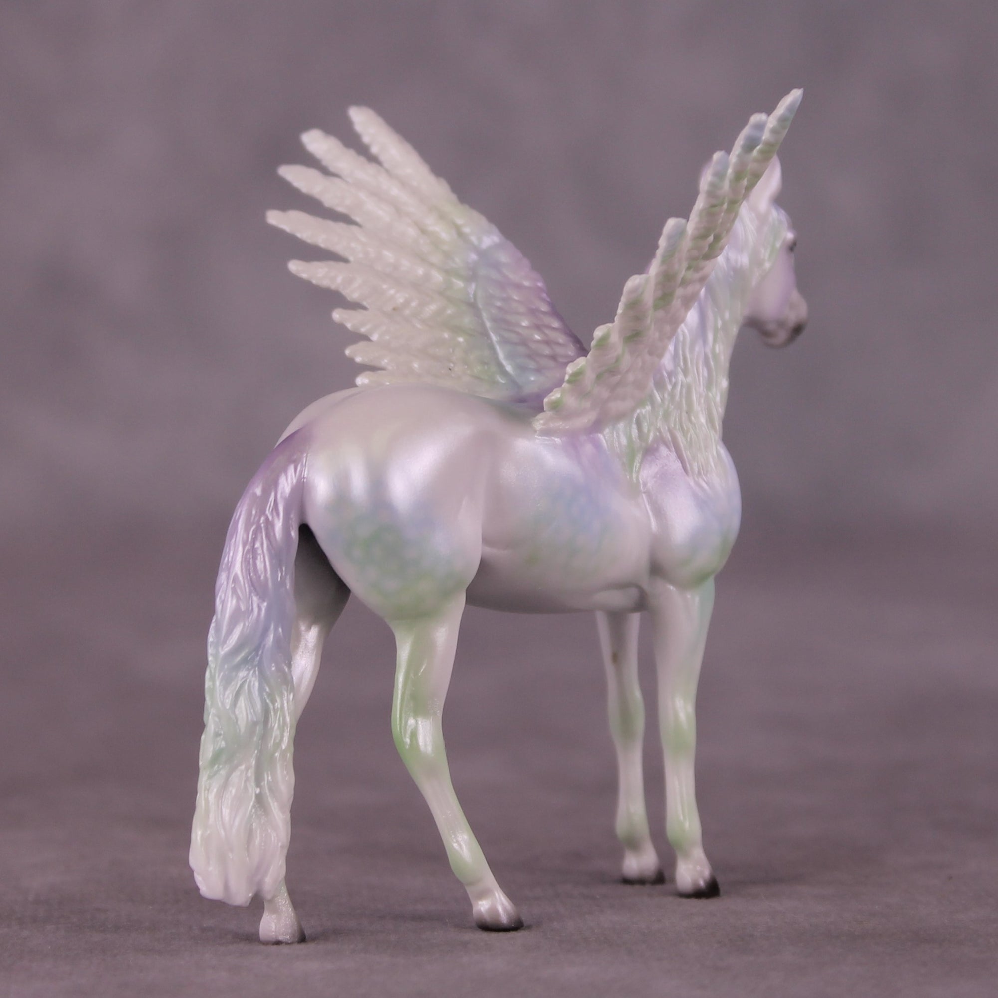 "Puck" FCM Andalusian Chip Blind Grab Bag - Painted By Ellen Robbins CL25