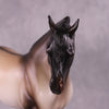 &quot;Rainier&quot; OOAK EFCM Andalusian by Ashley Palmer Best Offer EQ25 07/15/25