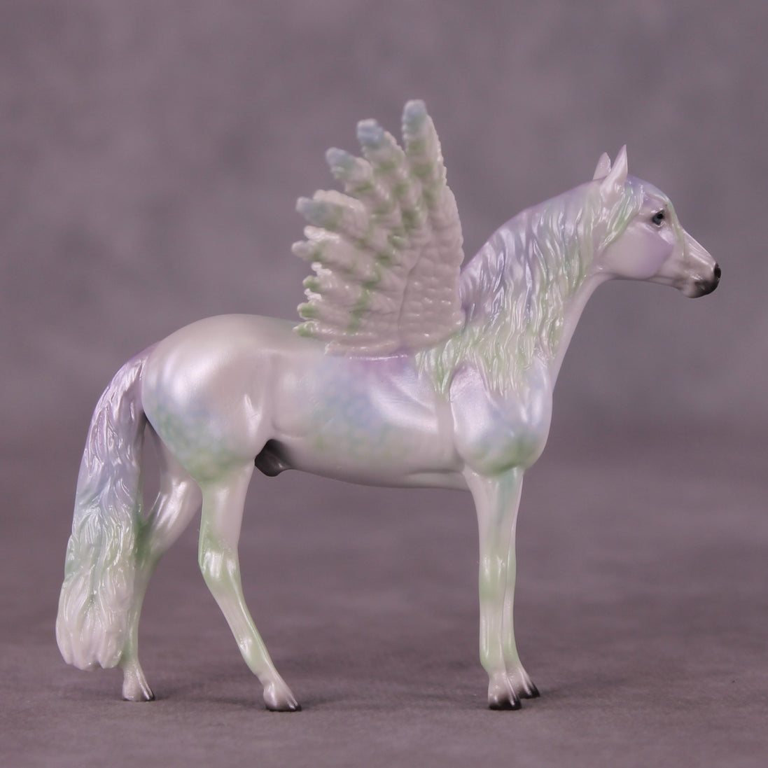 "Puck" FCM Andalusian Chip Blind Grab Bag - Painted By Ellen Robbins CL25