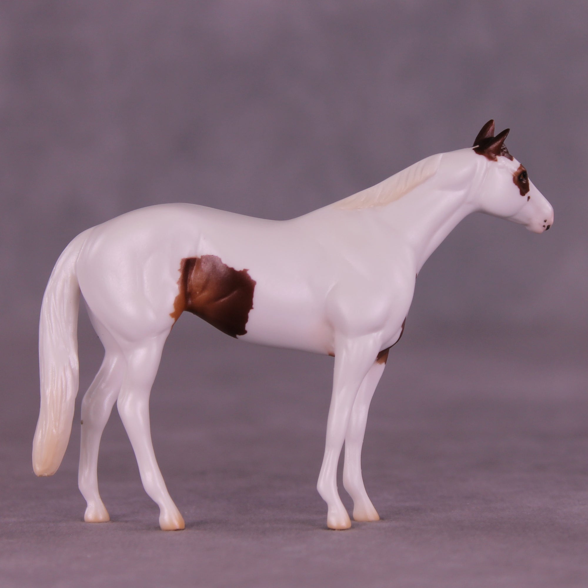 SAMPLE Troubador LE-8 FCM Chip Stock Horse by Ellen Robbins SS0626