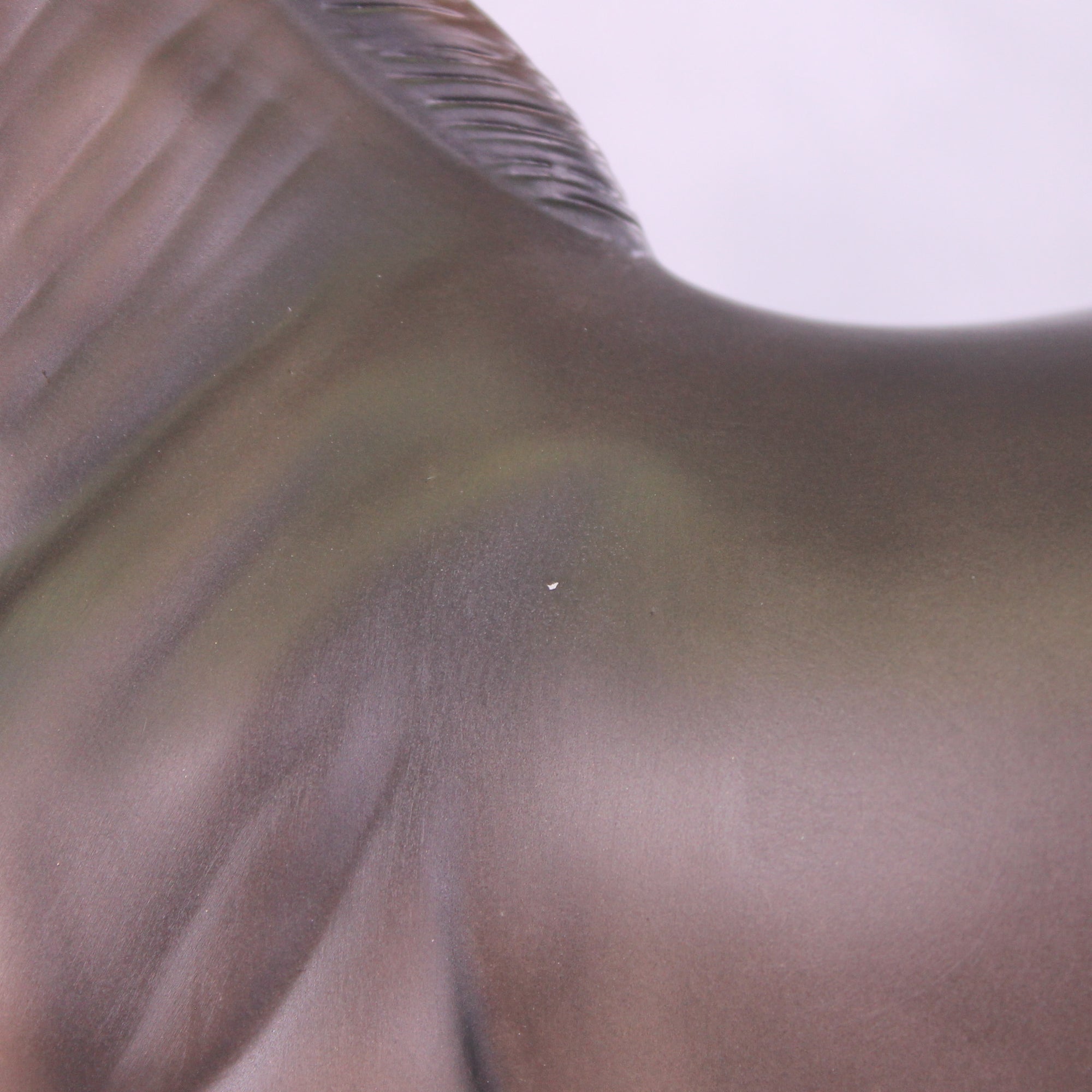 Mistral Sample FCM Andalusian by Ashley Palmer SS925