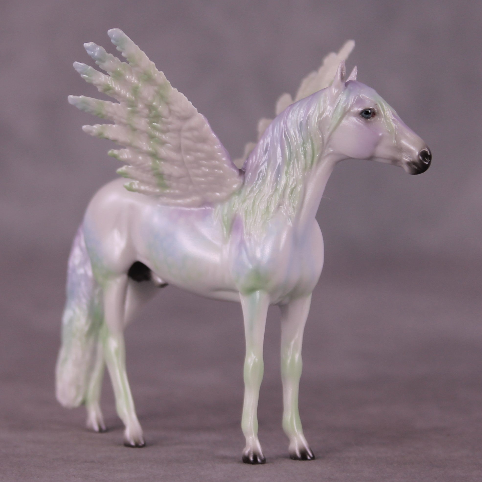 "Puck" FCM Andalusian Chip Blind Grab Bag - Painted By Ellen Robbins CL25