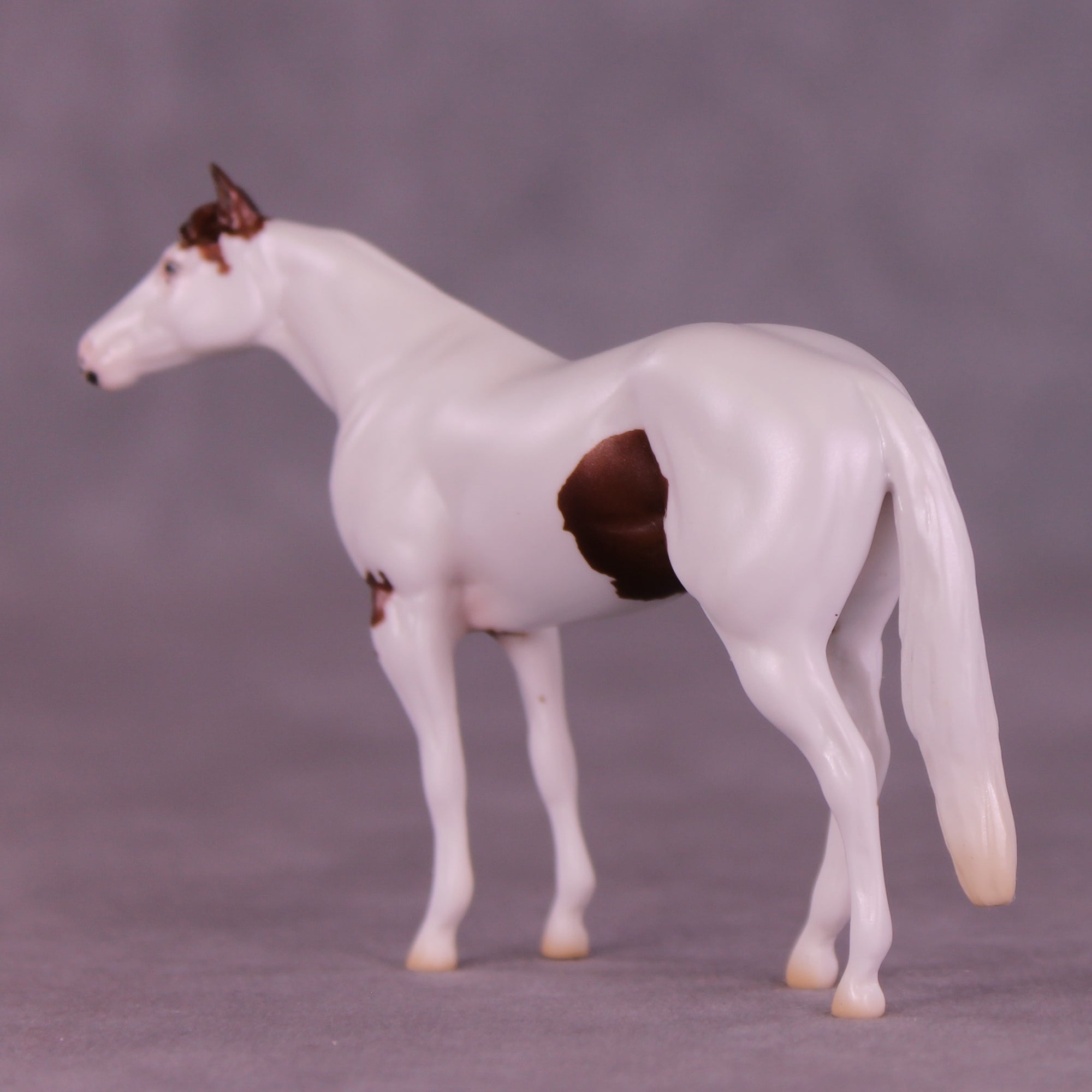 SAMPLE Troubador LE-8 FCM Chip Stock Horse by Ellen Robbins SS0626