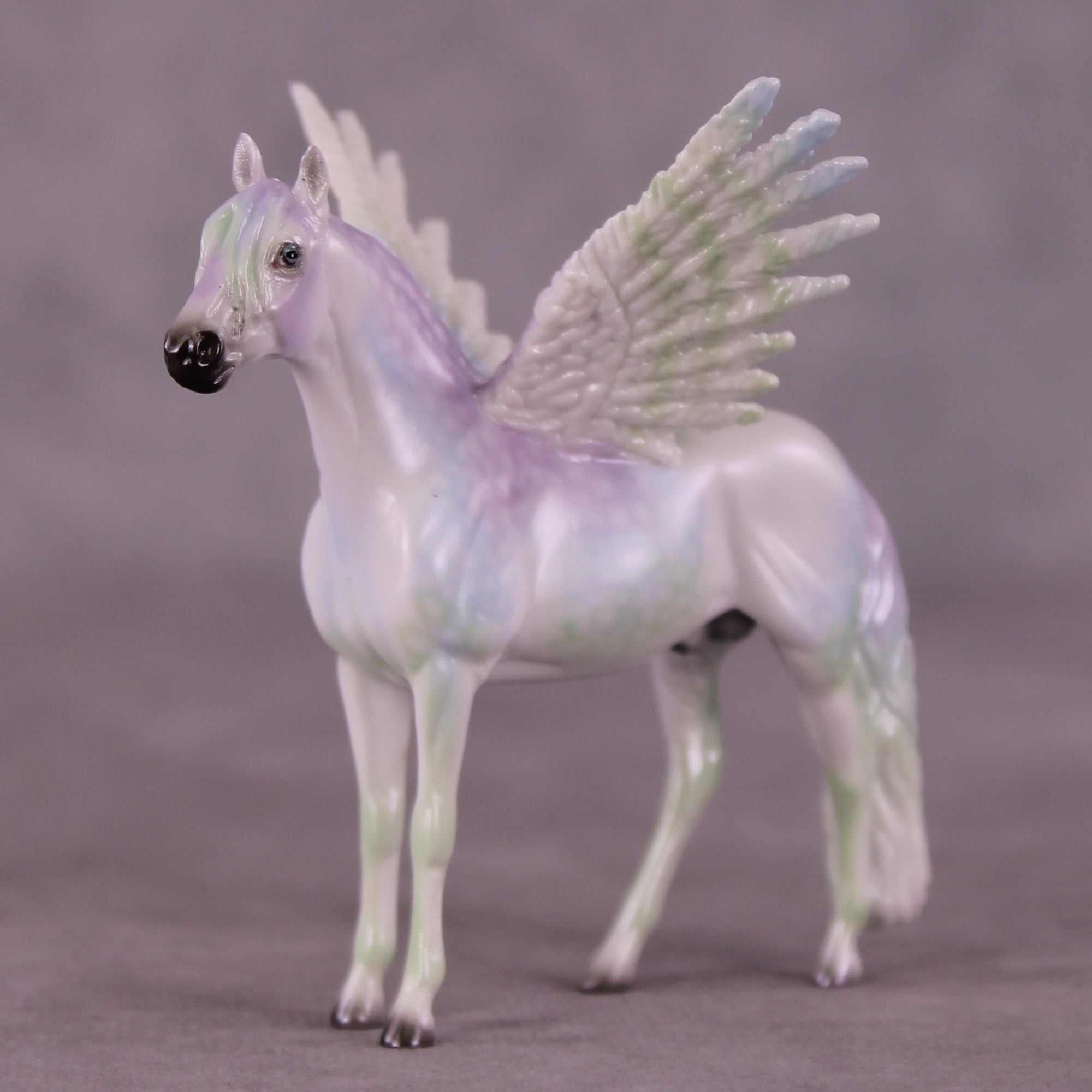 "Puck" FCM Andalusian Chip Blind Grab Bag - Painted By Ellen Robbins CL25