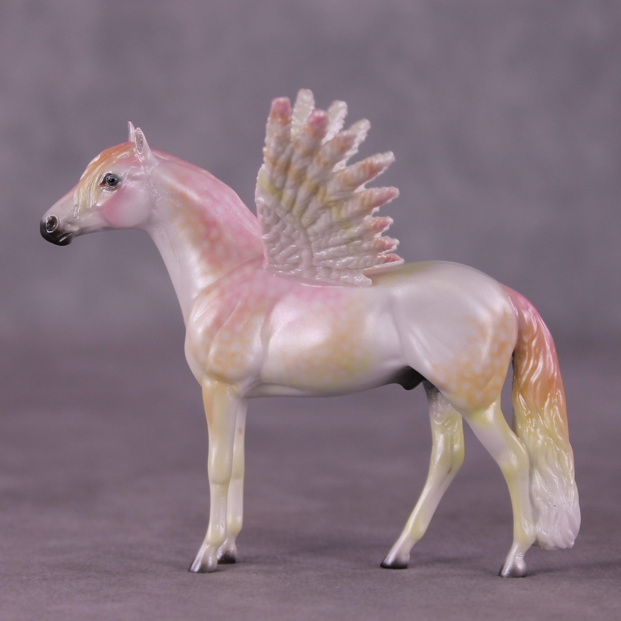 "Puck" FCM Andalusian Chip Blind Grab Bag - Painted By Ellen Robbins CL25