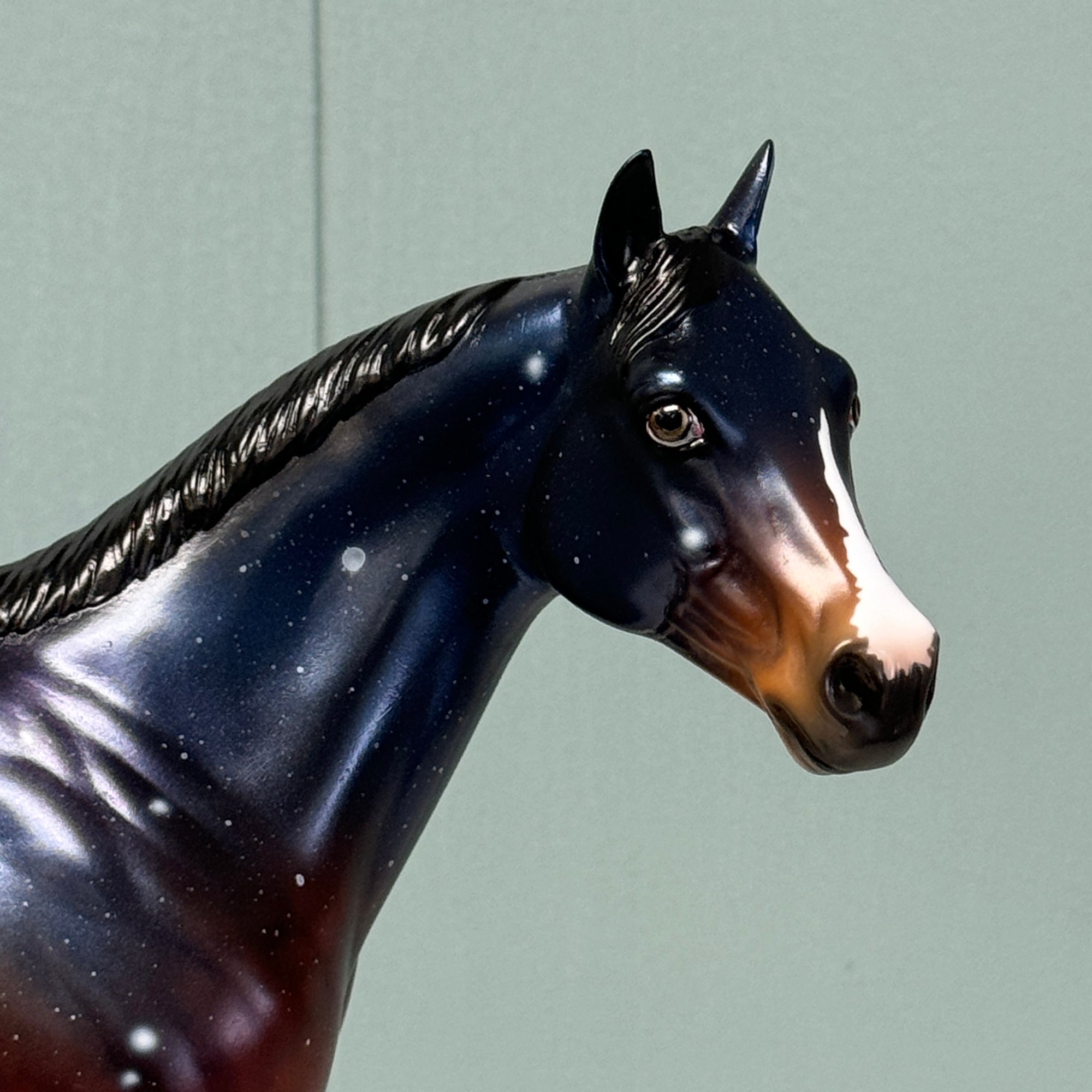 SAMPLE ISH Portrait Horse Star Sky Horse Design -Housed Within the Heart Series Deco By Ellen Robbins EQ24 Inspired By AotH Literature Work By Erin Verscheure EQ24