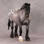 A Hippopotamus OOAK Blue Roan Appaloosa Heavy Draft By Ellen Robbins HS24