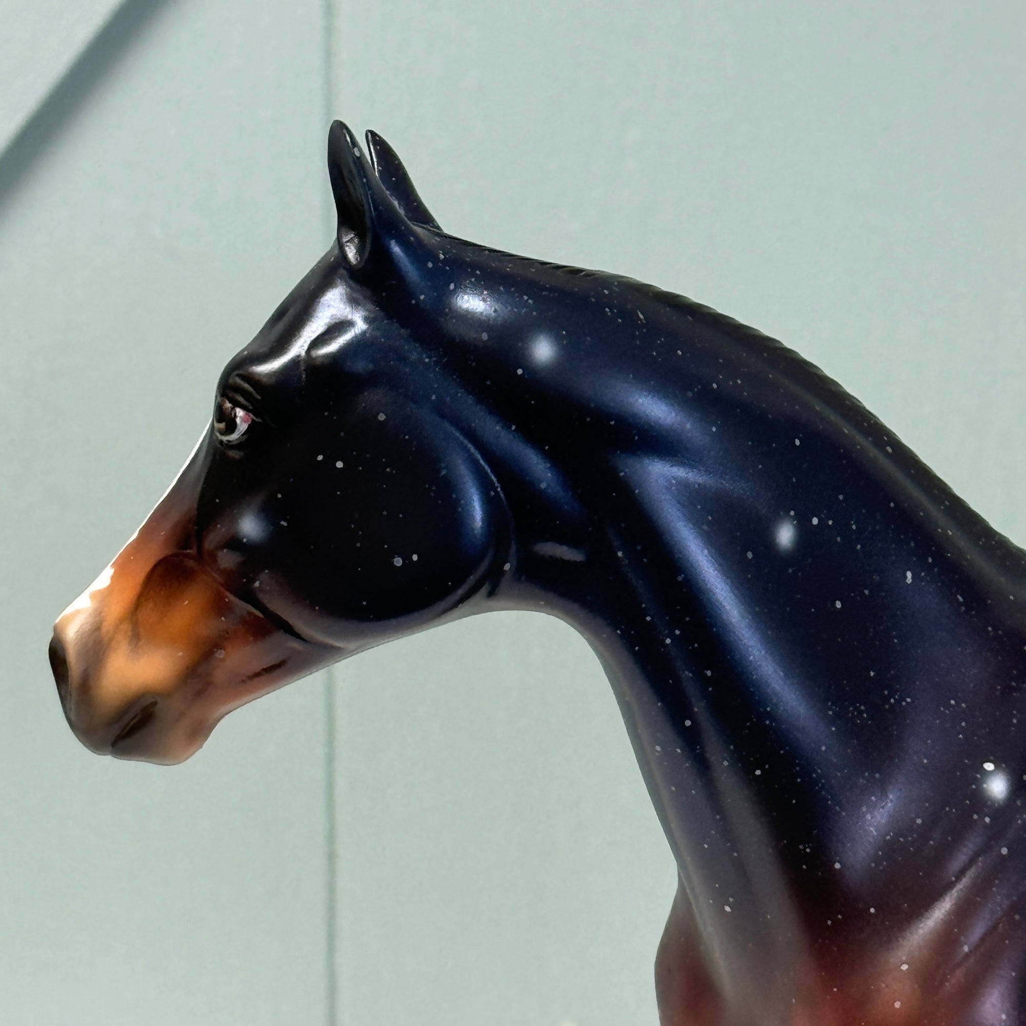 SAMPLE ISH Portrait Horse Star Sky Horse Design -Housed Within the Heart Series Deco By Ellen Robbins EQ24 Inspired By AotH Literature Work By Erin Verscheure EQ24