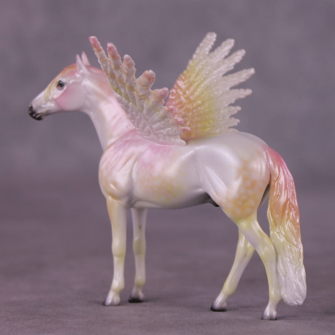 "Puck" FCM Andalusian Chip Blind Grab Bag - Painted By Ellen Robbins CL25