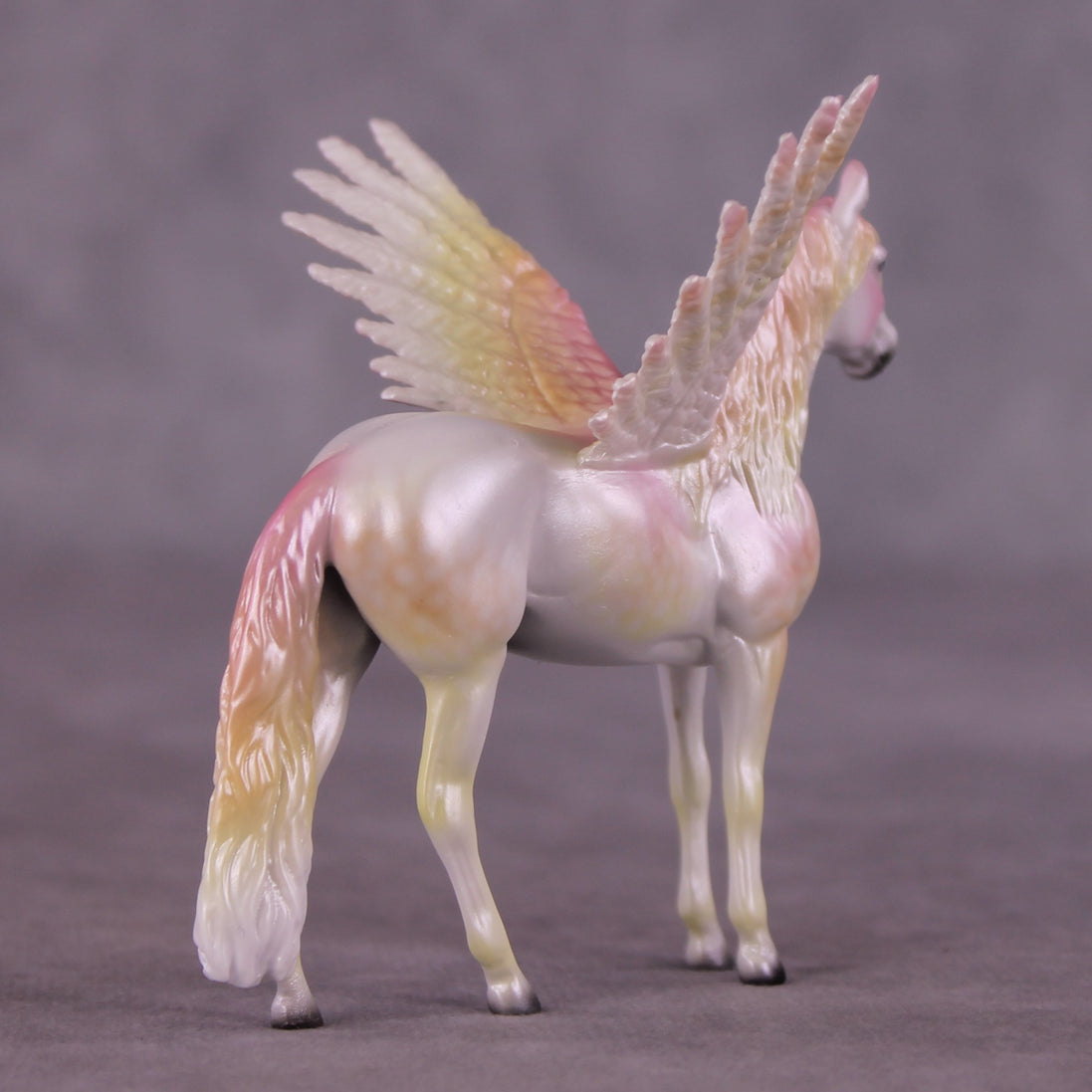 "Puck" FCM Andalusian Chip Blind Grab Bag - Painted By Ellen Robbins CL25