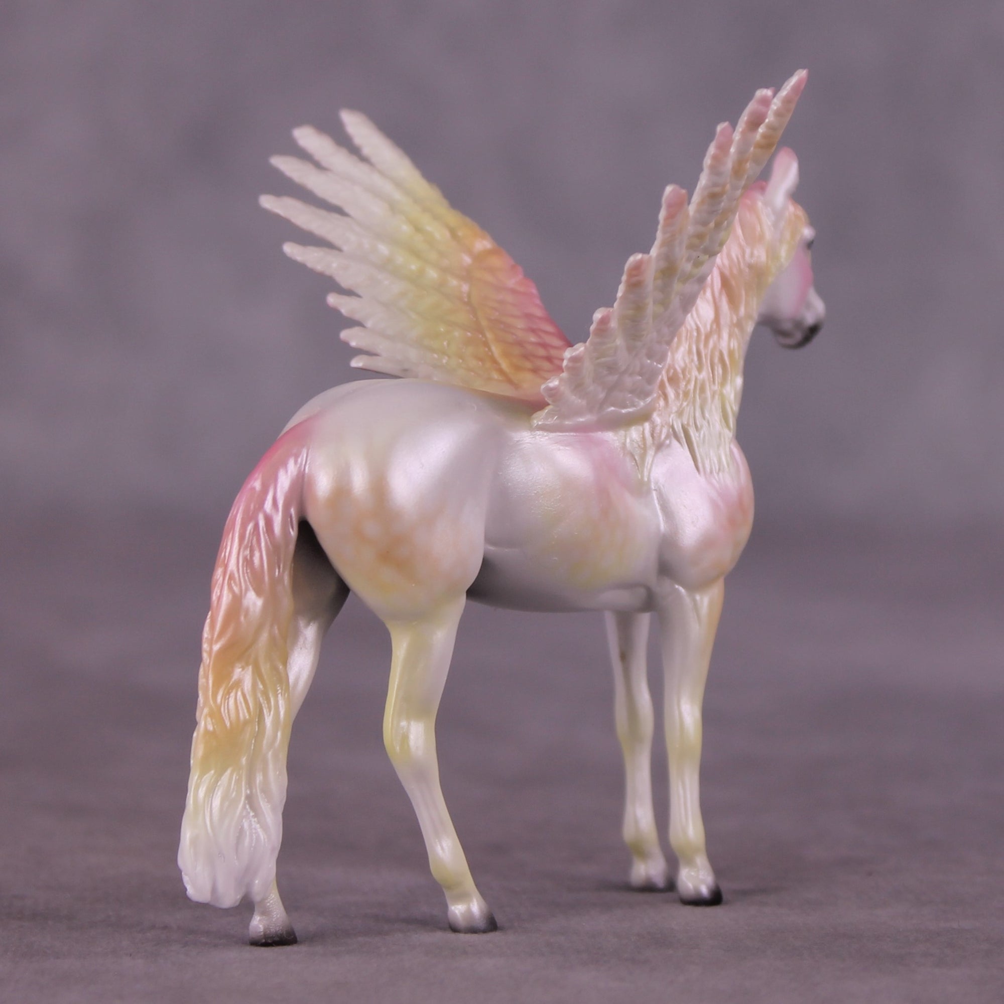 "Puck" FCM Andalusian Chip Blind Grab Bag - Painted By Ellen Robbins CL25