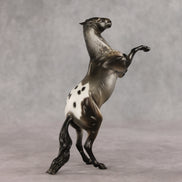 Granite State OOAK FCM Pebble Mustang by Carly Kudalis & Stone Team Best Offer 2.24.2026