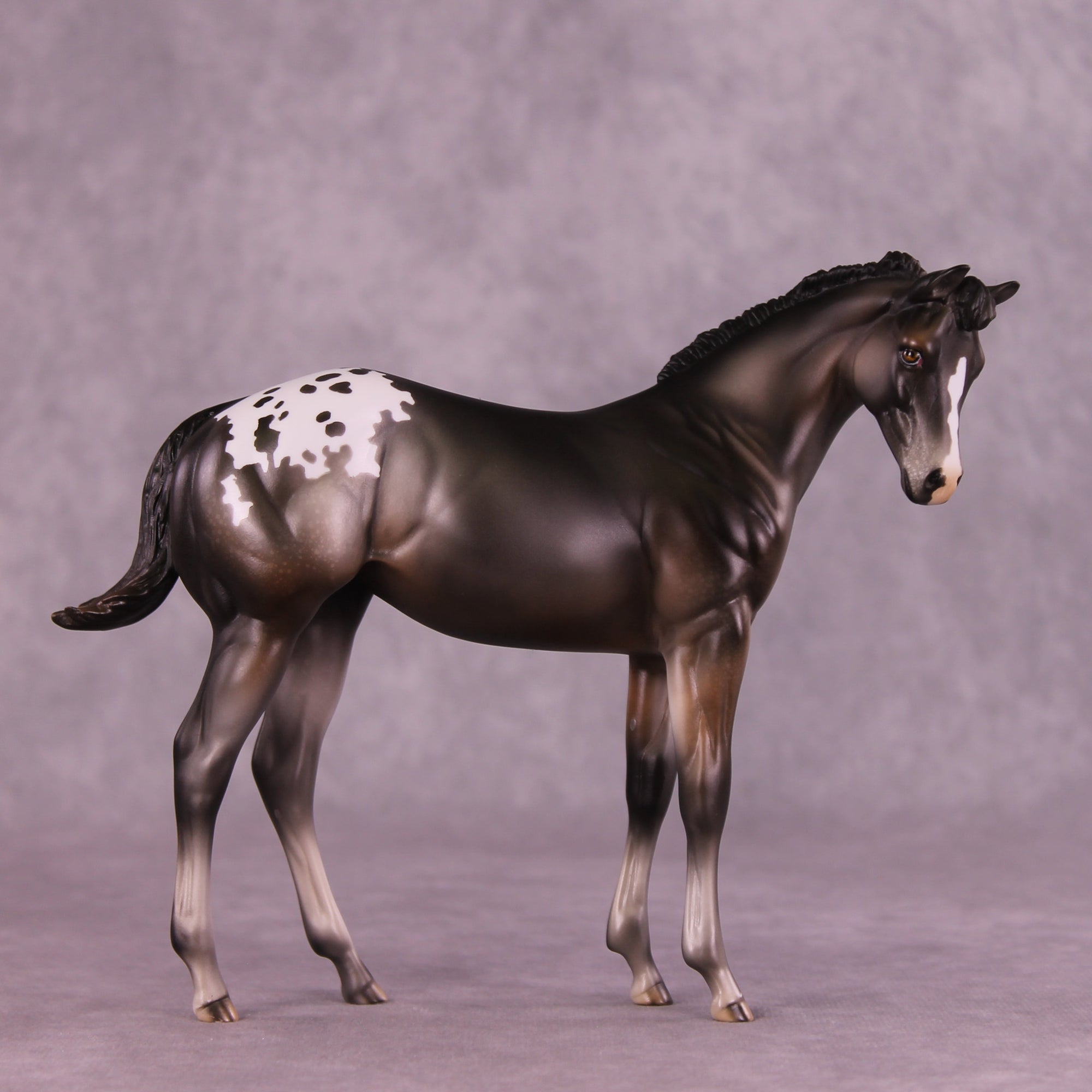 Buckinghamshire Sample FCM Weanling by Julie Keim SS925