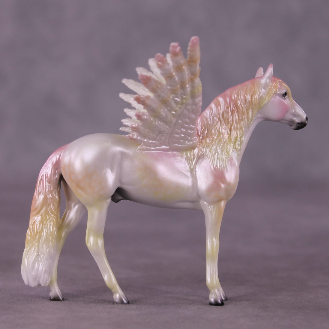 "Puck" FCM Andalusian Chip Blind Grab Bag - Painted By Ellen Robbins CL25