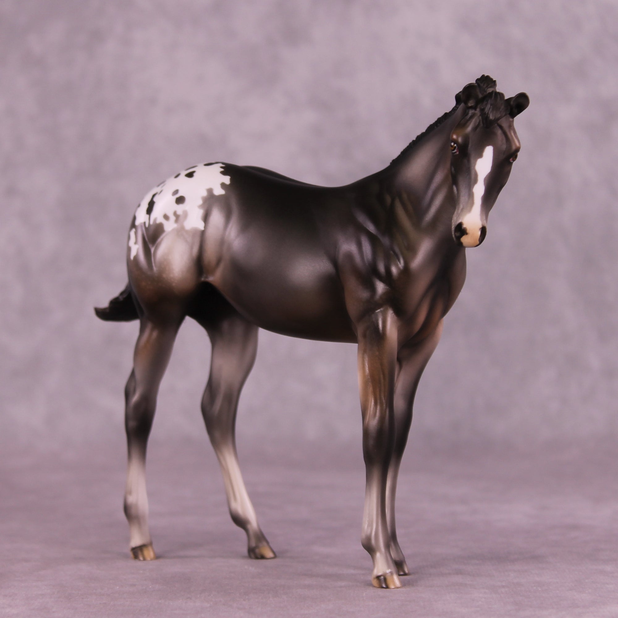 Buckinghamshire Sample FCM Weanling by Julie Keim SS925