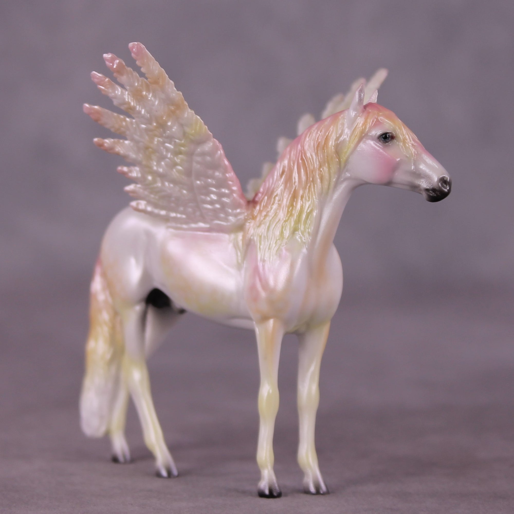 "Puck" FCM Andalusian Chip Blind Grab Bag - Painted By Ellen Robbins CL25