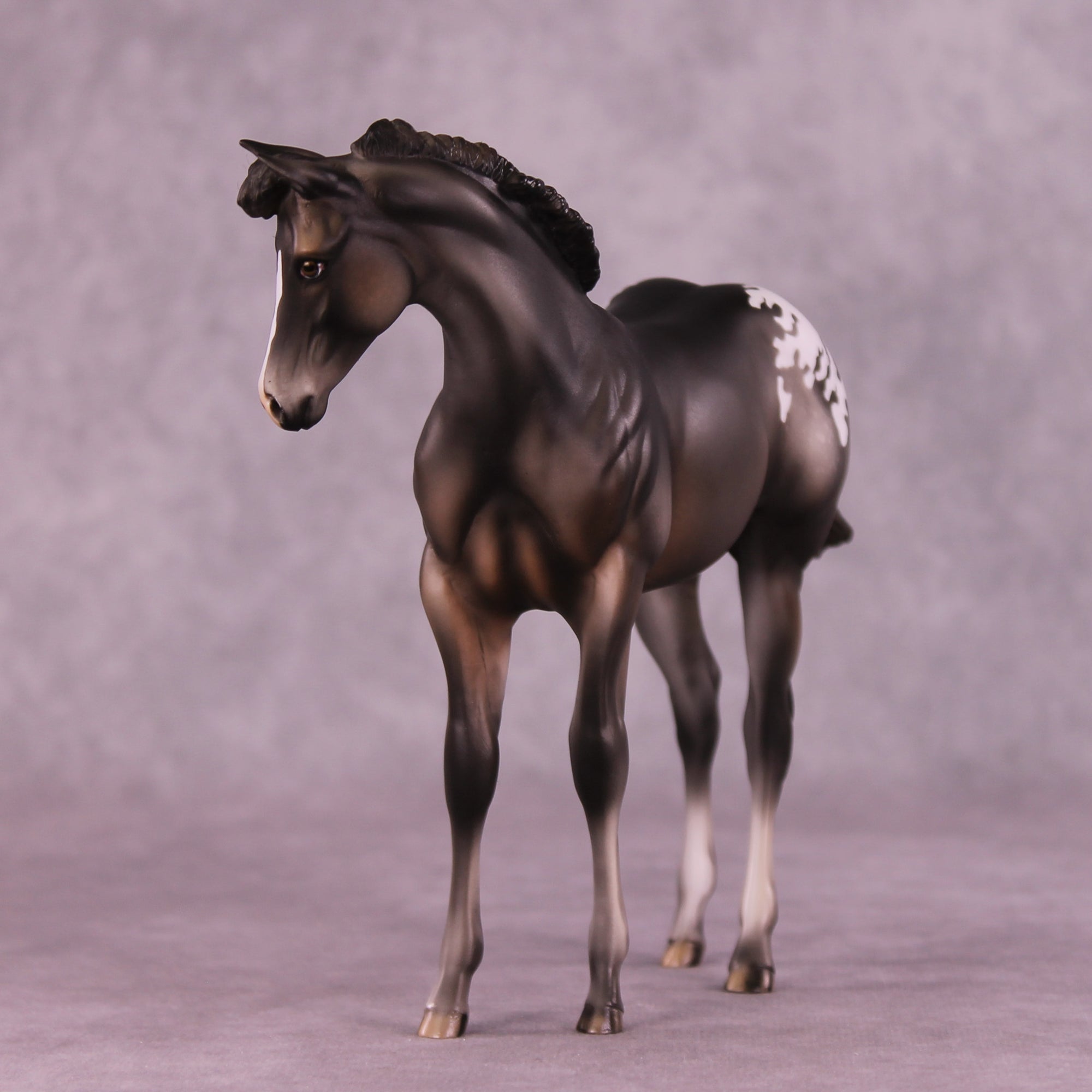 Buckinghamshire Sample FCM Weanling by Julie Keim SS925