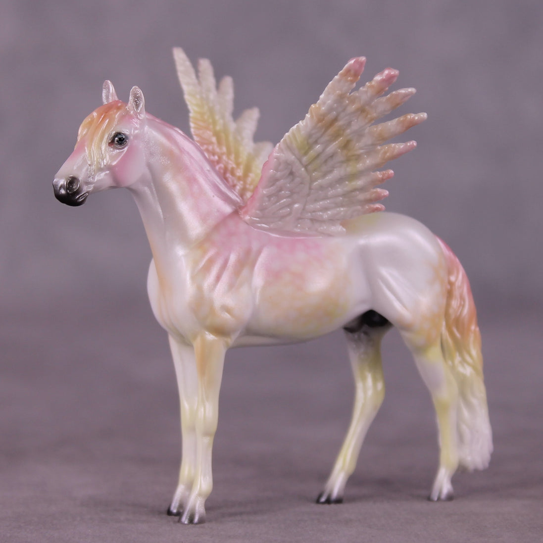 "Puck" FCM Andalusian Chip Blind Grab Bag - Painted By Ellen Robbins CL25