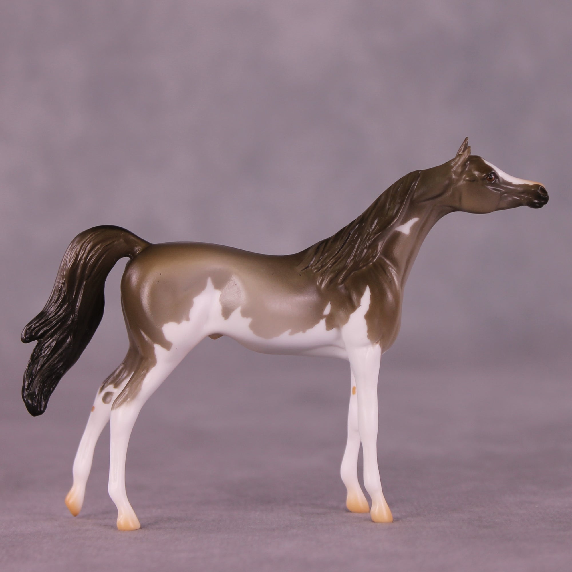 Enforcement LE-5 Chip Arabian by Erin Corbett September $99 Chips