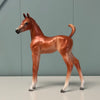 Nikea SAMPLE Chestnut Custom Arab Foal By Jess Hamill EQ24 From the AotH Literature Entry &quot;The Mob&quot; By Frances Pauli SS1024