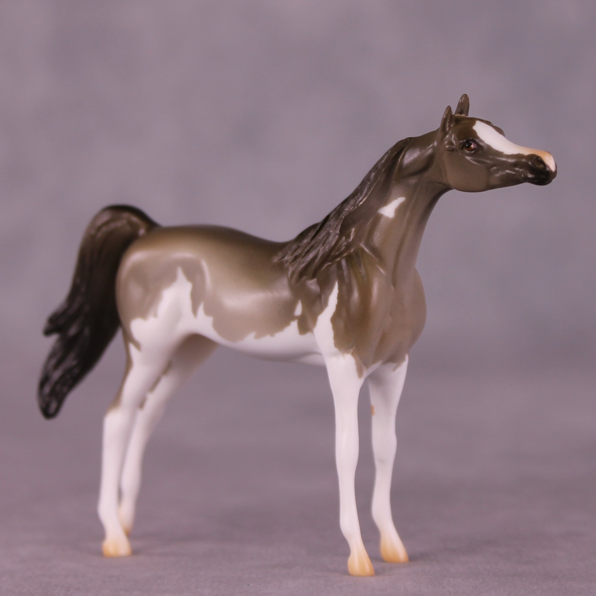 Enforcement LE-5 Chip Arabian by Erin Corbett September $99 Chips