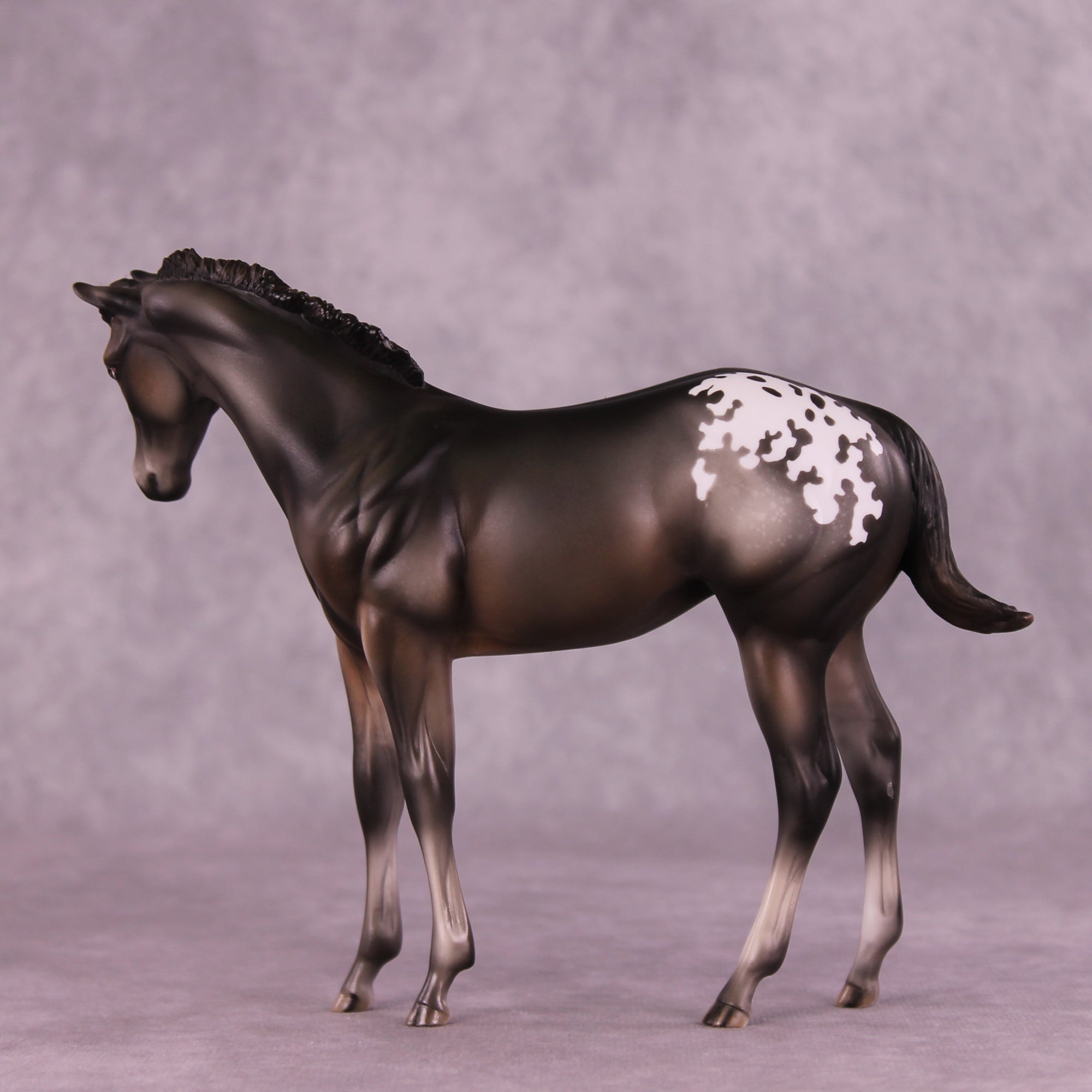 Buckinghamshire Sample FCM Weanling by Julie Keim SS925