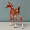 Nikea SAMPLE Chestnut Custom Arab Foal By Jess Hamill EQ24 From the AotH Literature Entry &quot;The Mob&quot; By Frances Pauli SS1024