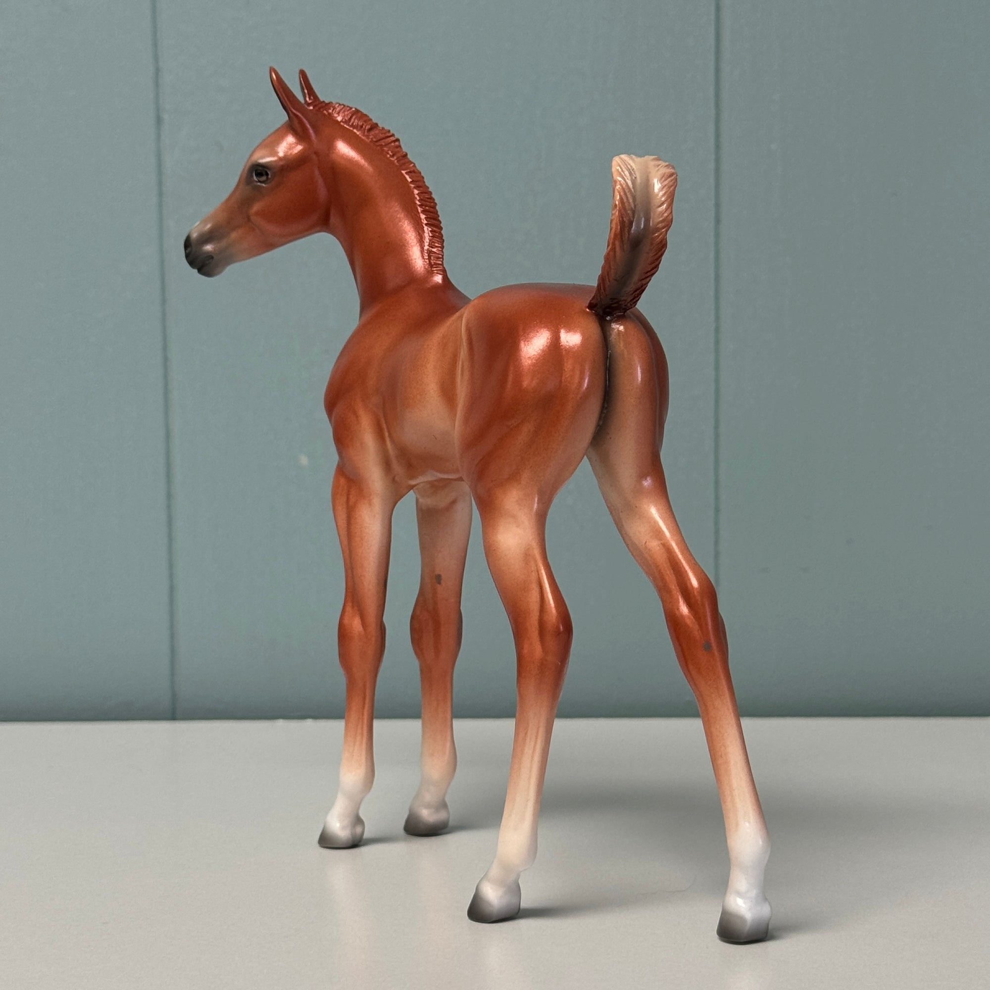 Nikea SAMPLE Chestnut Custom Arab Foal By Jess Hamill EQ24 From the AotH Literature Entry &quot;The Mob&quot; By Frances Pauli SS1024