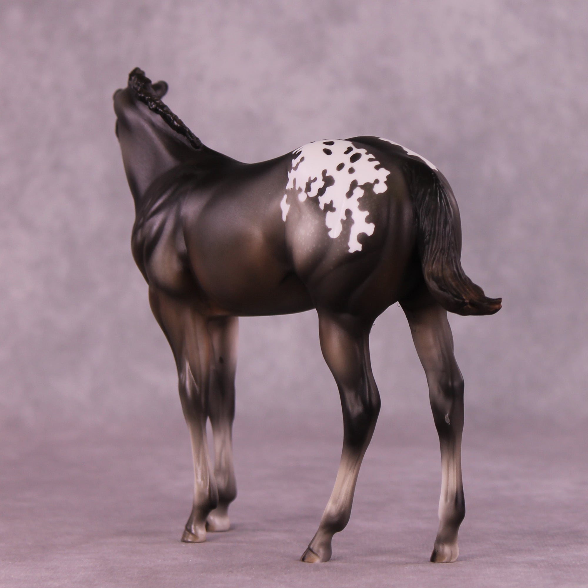 Buckinghamshire Sample FCM Weanling by Julie Keim SS925