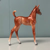 Nikea SAMPLE Chestnut Custom Arab Foal By Jess Hamill EQ24 From the AotH Literature Entry &quot;The Mob&quot; By Frances Pauli SS1024