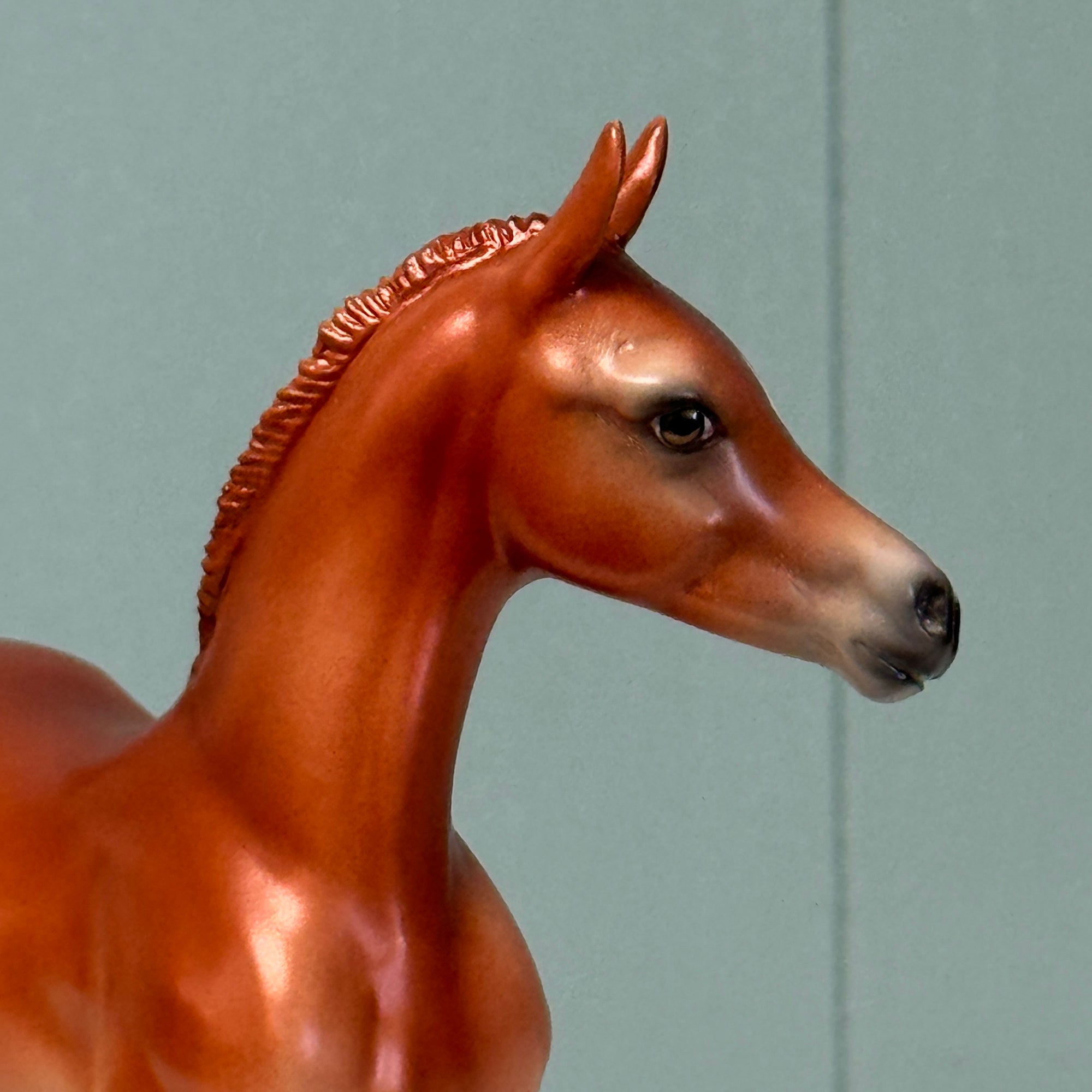 Nikea SAMPLE Chestnut Custom Arab Foal By Jess Hamill EQ24 From the AotH Literature Entry &quot;The Mob&quot; By Frances Pauli SS1024