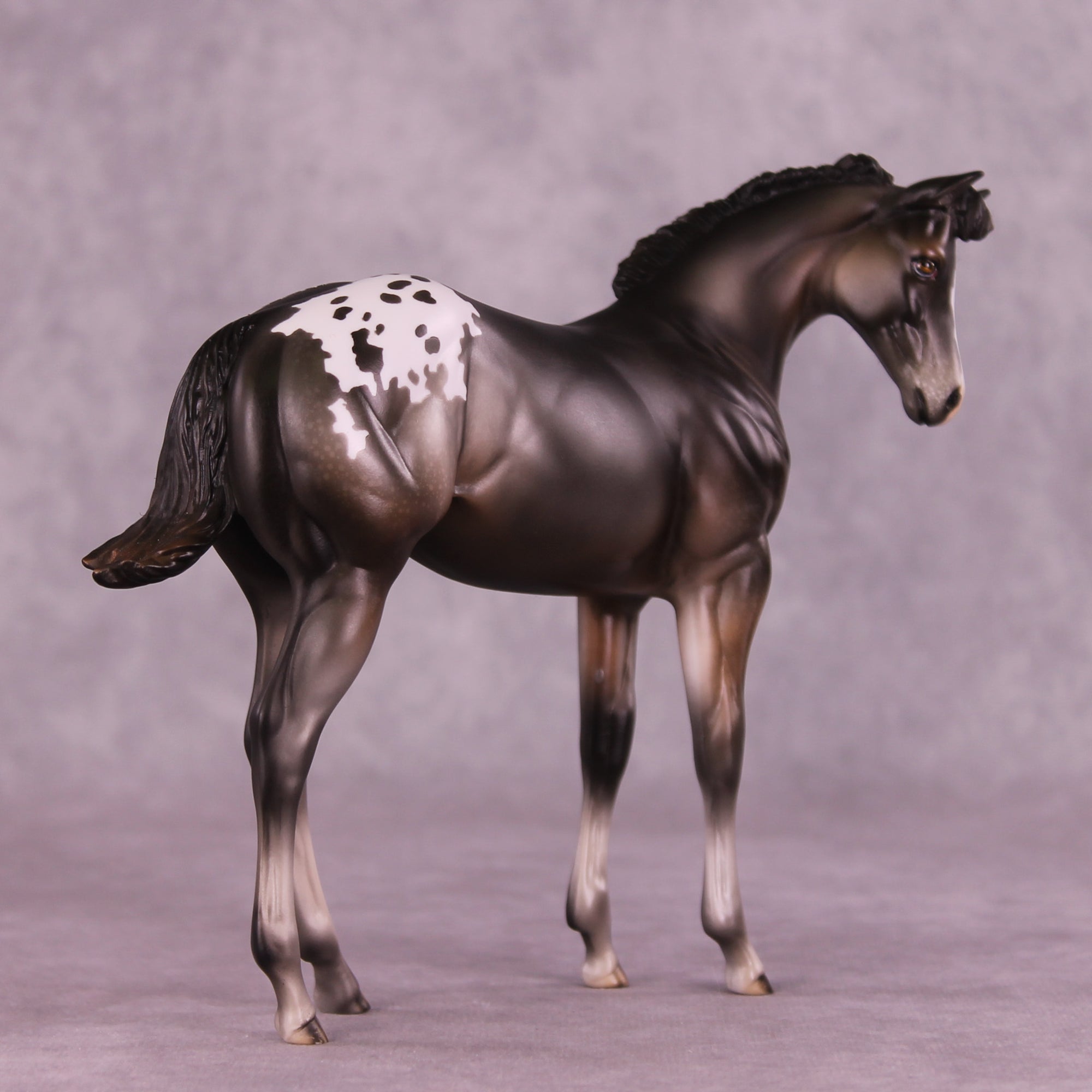 Buckinghamshire Sample FCM Weanling by Julie Keim SS925