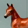 Nikea SAMPLE Chestnut Custom Arab Foal By Jess Hamill EQ24 From the AotH Literature Entry &quot;The Mob&quot; By Frances Pauli SS1024