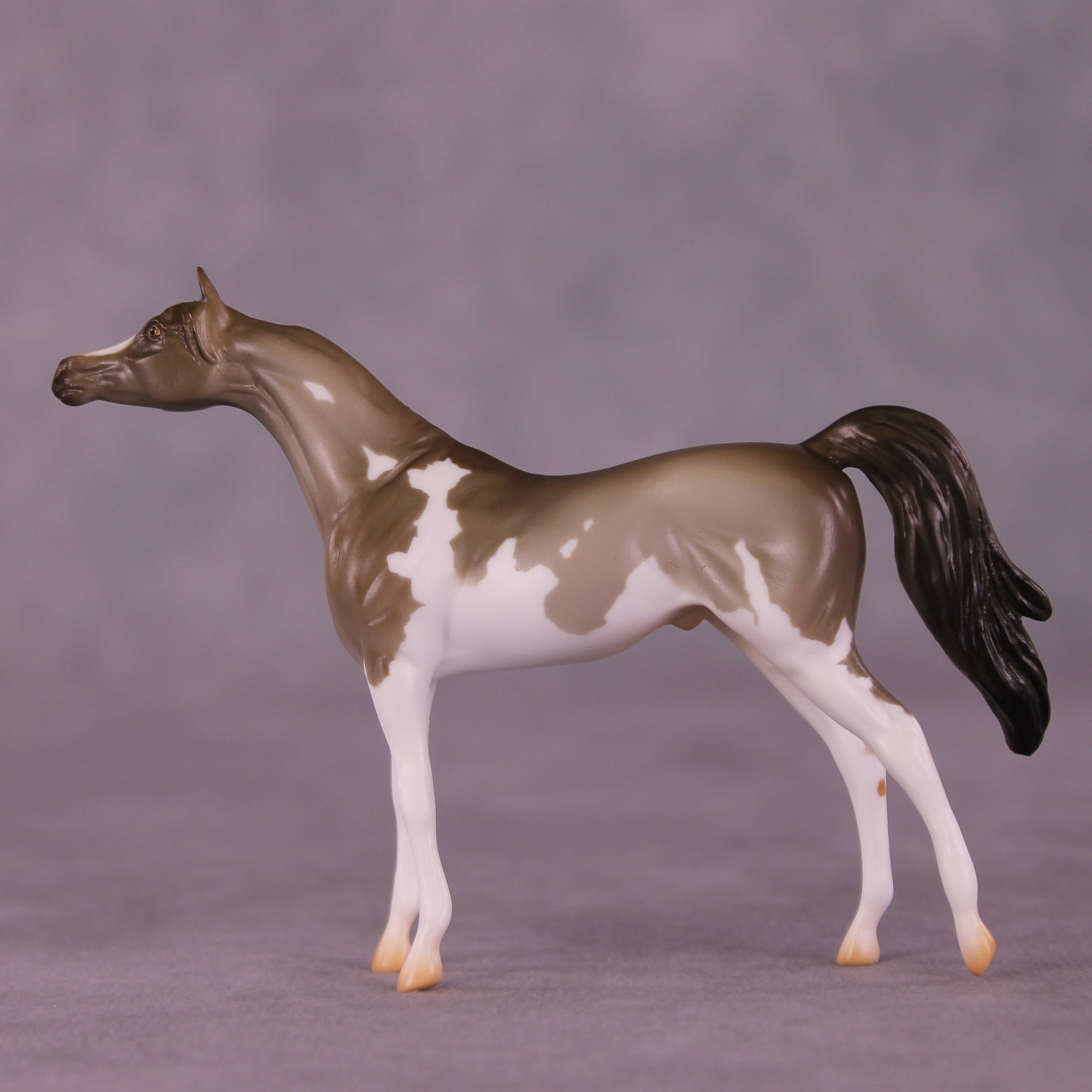 Enforcement LE-5 Chip Arabian by Erin Corbett September $99 Chips
