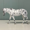 Gracie SAMPLE Appaloosa Pebble Mule By Jess Hamill EQ24 From the AotH 3D Art Entry By Kristy Thiessen SS1024