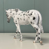 Gracie SAMPLE Appaloosa Pebble Mule By Jess Hamill EQ24 From the AotH 3D Art Entry By Kristy Thiessen SS1024