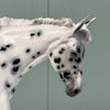 Gracie SAMPLE Appaloosa Pebble Mule By Jess Hamill EQ24 From the AotH 3D Art Entry By Kristy Thiessen SS1024