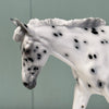 Gracie SAMPLE Appaloosa Pebble Mule By Jess Hamill EQ24 From the AotH 3D Art Entry By Kristy Thiessen SS1024