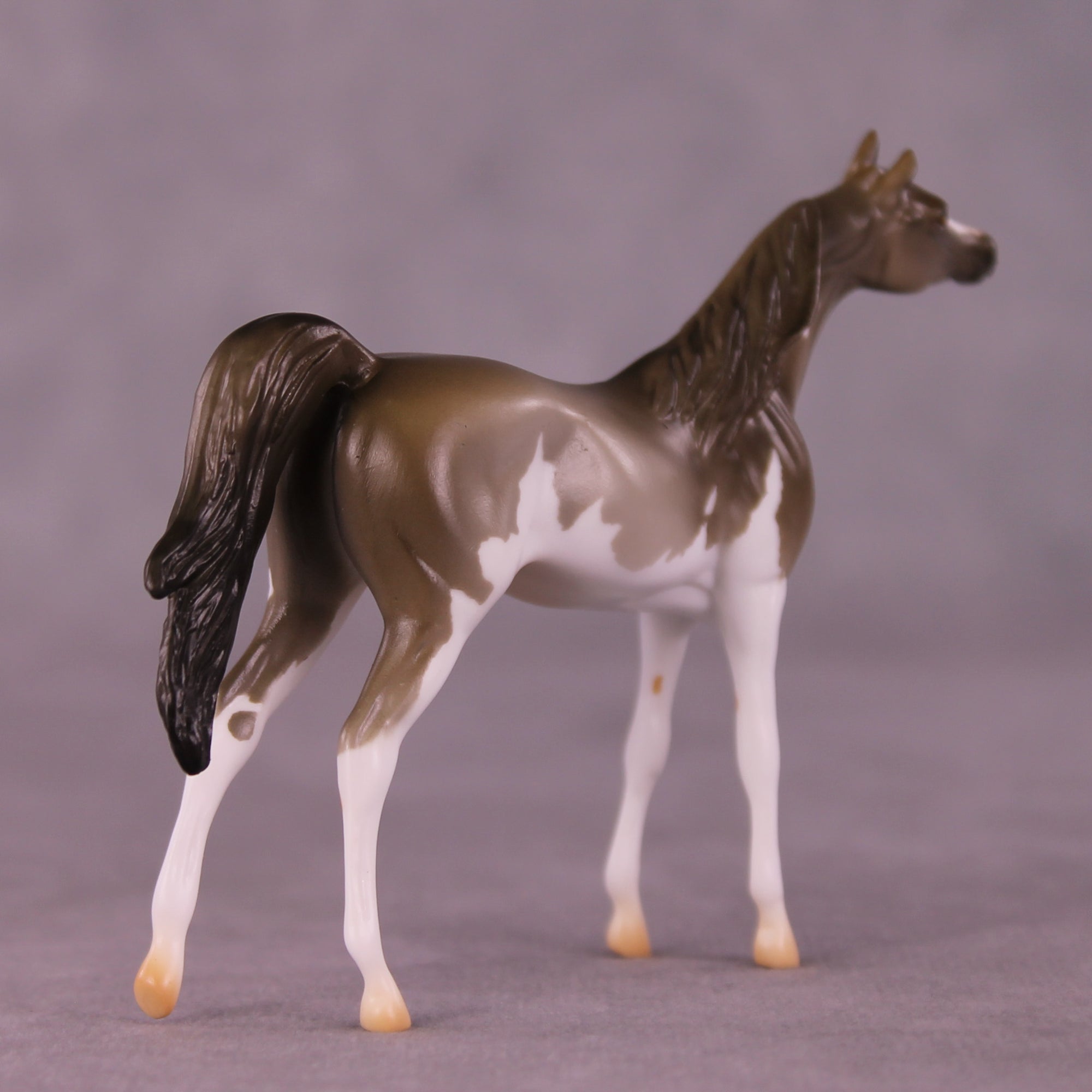 Enforcement LE-5 Chip Arabian by Erin Corbett September $99 Chips