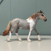 George SAMPLE Roan Pebble Draft By Jess Hamill EQ24 From the AotH 3D Art Entry By Kristy Thiessen SS1024