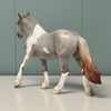 George SAMPLE Roan Pebble Draft By Jess Hamill EQ24 From the AotH 3D Art Entry By Kristy Thiessen SS1024