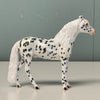 Little Sparkle DRAFT CHIP SAMPLE Appaloosa Chips By Dawn Quick EQ24 ss1024