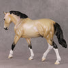 Just In Time OOAK Dapple Buckskin Irish Draught By Ellen Robbins HS24