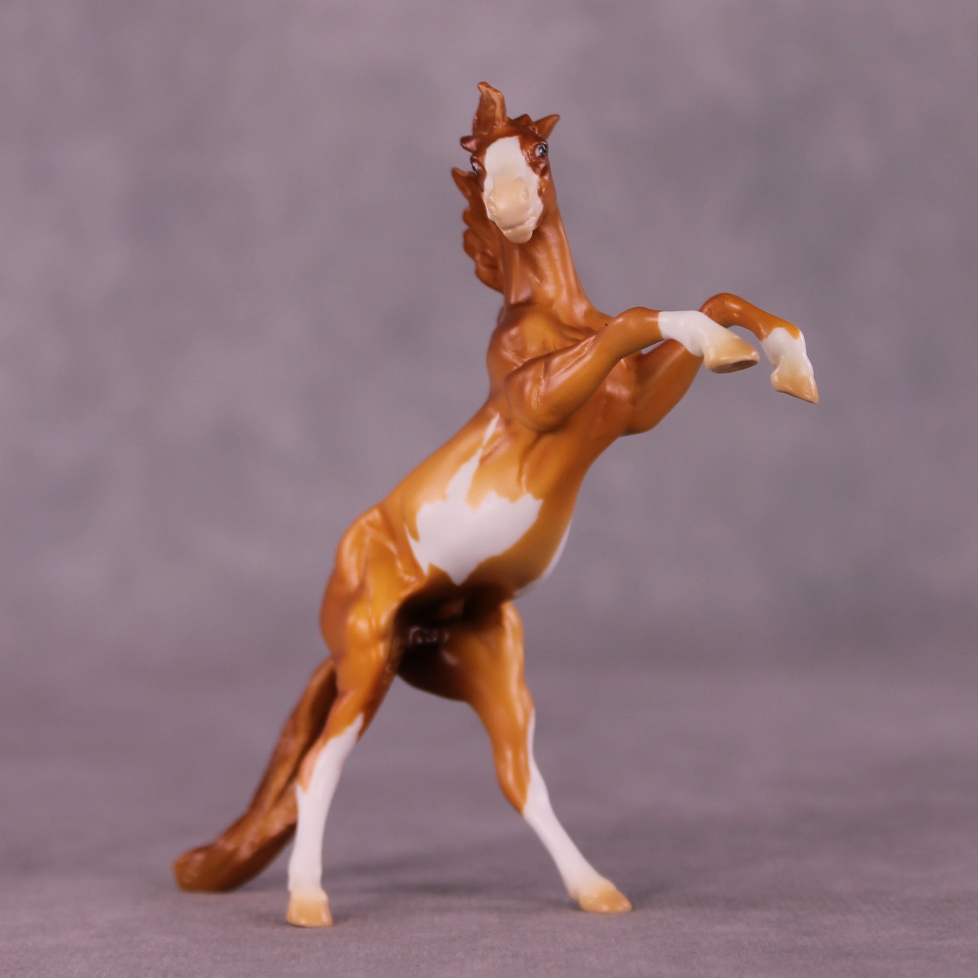 Record Breaker LE-5 Rearing Chip by Erin Corbett September $99 Chips