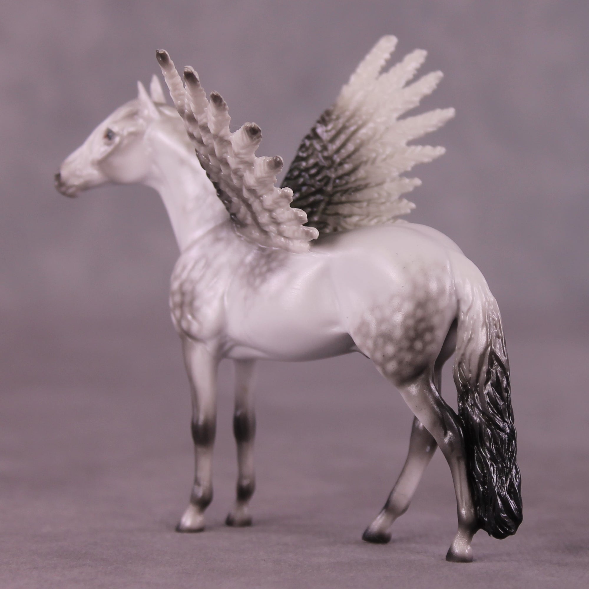 "Puck" FCM Andalusian Chip Blind Grab Bag - Painted By Ellen Robbins CL25