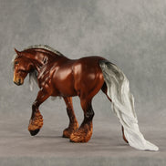 Hugo OOAK Irish Cob by Ellen Robbins DDOOAKs26