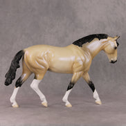 Just In Time OOAK Dapple Buckskin Irish Draught By Ellen Robbins HS24