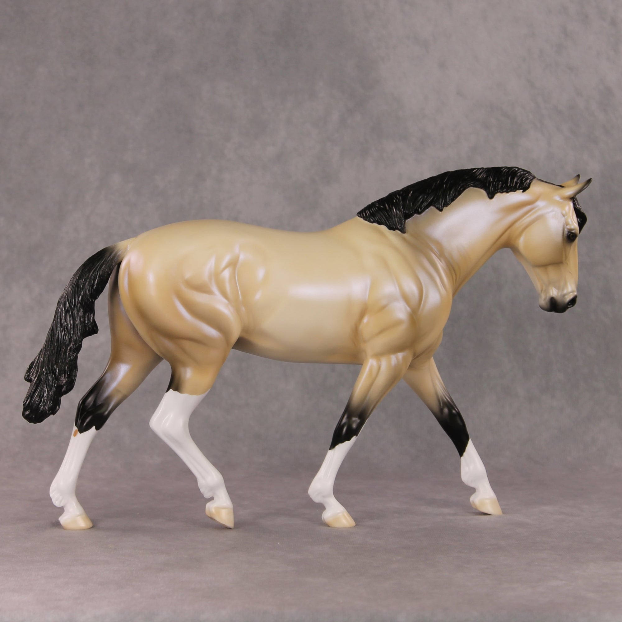 Just In Time OOAK Dapple Buckskin Irish Draught By Ellen Robbins HS24