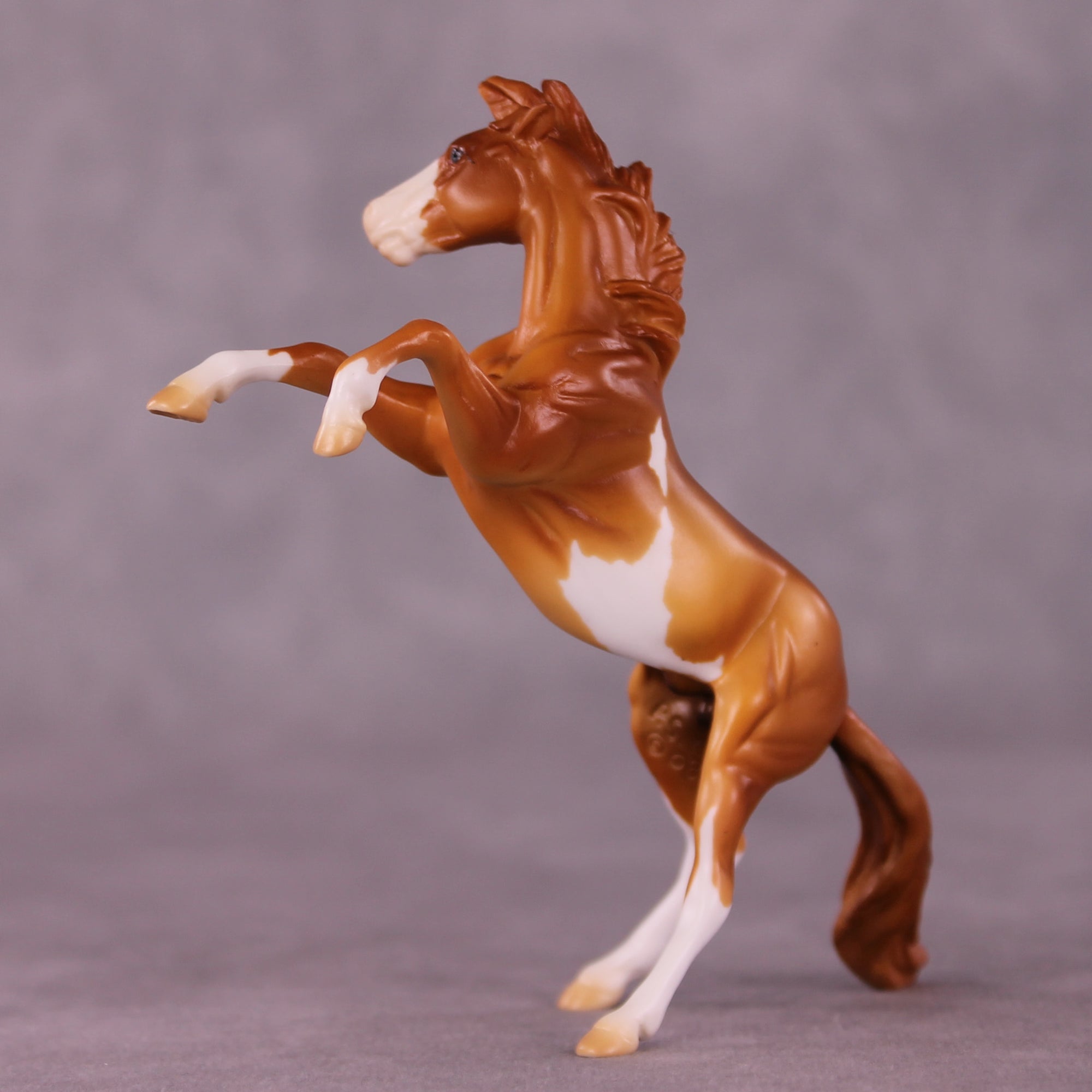 Record Breaker LE-5 Rearing Chip by Erin Corbett September $99 Chips